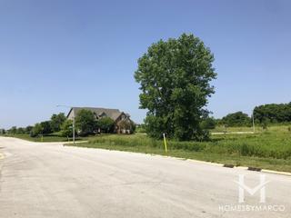 Henneberry Woods subdivision in Oswego, IL