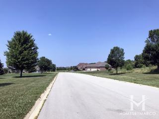 Henneberry Woods subdivision in Oswego, IL