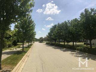 Prescott Mill subdivision in Oswego, IL
