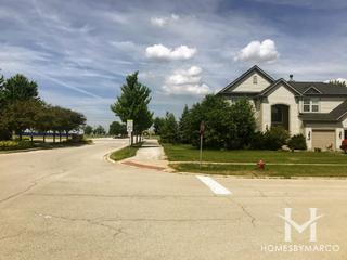 Prescott Mill subdivision in Oswego, IL
