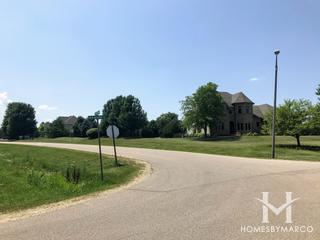 Old Reserve Hills subdivision in Oswego, IL