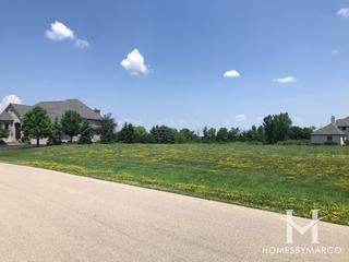 Old Reserve Hills subdivision in Oswego, IL