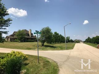 Old Reserve Hills subdivision in Oswego, IL