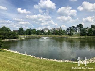 Brighton Meadows subdivision in Oswego, IL