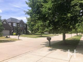 Brighton Meadows subdivision in Oswego, IL