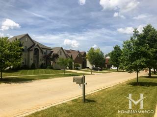 Brighton Meadows subdivision in Oswego, IL