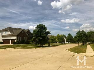 Brighton Meadows subdivision in Oswego, IL