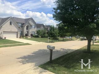 Highlands At Ogdenfalls subdivision in Oswego, IL