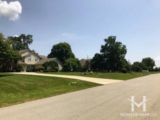 Crestview Woods subdivision in Oswego, IL