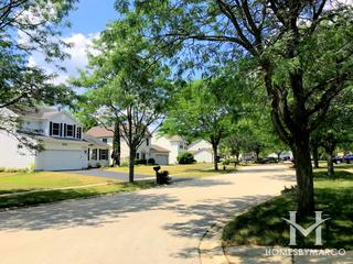 Ponds At Mill Race Creek subdivision in Oswego, IL