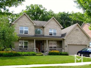 Dunhaven Woods subdivision in Palatine, IL
