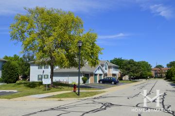 Brandon Grove subdivision in Palatine, IL