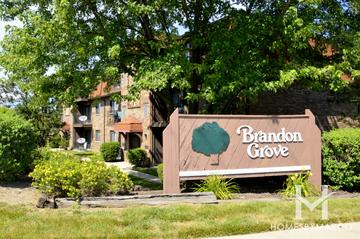 Brandon Grove subdivision in Palatine, IL