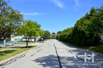 Brandon Grove subdivision in Palatine, IL