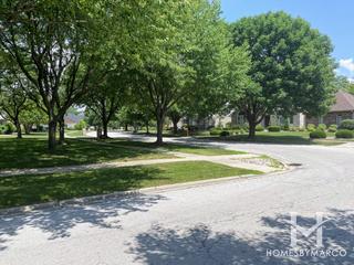 Woodland Shores subdivision in Palos Park, IL