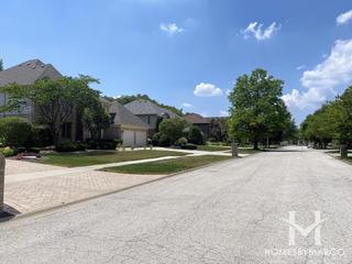 Woodland Shores subdivision in Palos Park, IL