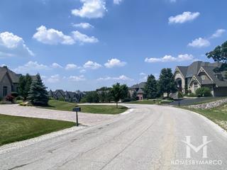 Shadow Ridge Estates subdivision in Palos Park, IL