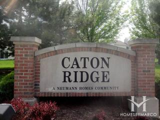 Photos of Caton Ridge subdivision in Plainfield, IL