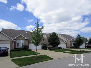 Caledonia subdivision in Tinley Park, IL