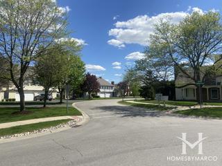 Warrenville Lakes subdivision in Warrenville, IL