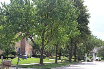Arboretum Mews subdivision in Wheaton, IL