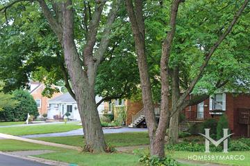 Lowell Manor subdivision in Wheaton, IL