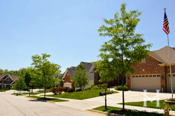 Woodland Oaks subdivision in Wheaton, IL