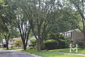 Briarcliffe South subdivision in Wheaton, IL