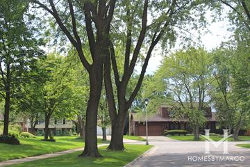 Briarcliffe South subdivision in Wheaton, IL