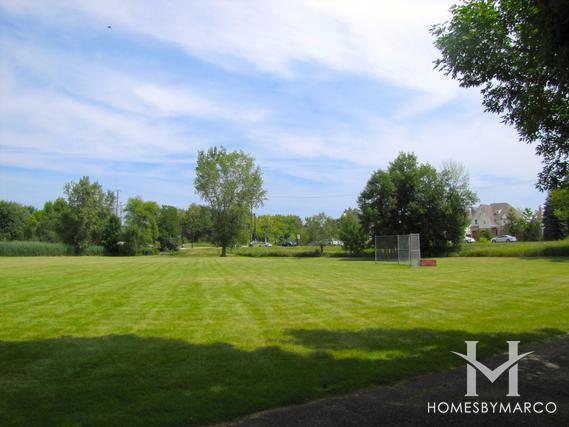 Dunhaven Woods subdivision in Palatine, IL