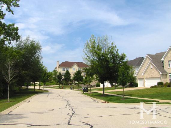 Dunhaven Woods subdivision in Palatine, IL