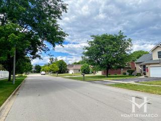 Springview West subdivision in New Lenox, IL