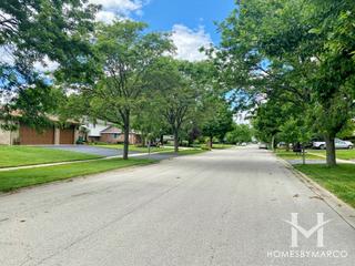 Springview West subdivision in New Lenox, IL