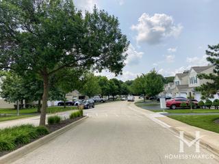 Old Oaks subdivision in Plainfield, IL