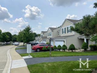 Old Oaks subdivision in Plainfield, IL
