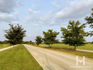 Springbank subdivision in Plainfield, IL