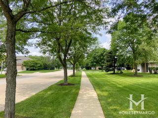 Cambridge at the Reserves subdivision in Plainfield, IL