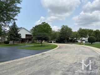 Cambridge at the Reserves subdivision in Plainfield, IL