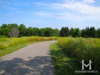 Barnswallow Estates subdivision in Wauconda, IL