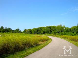 Barnswallow Estates subdivision in Wauconda, IL