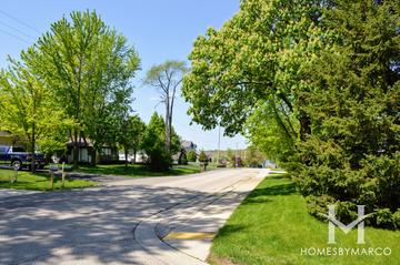 Lake Shore Park subdivision in Wauconda, IL