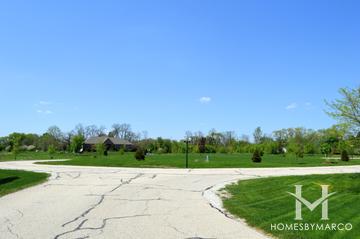 The Bluffs Of Lake Fairview subdivision in Wauconda, IL
