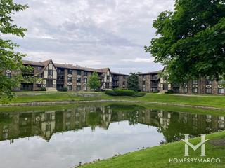 Birch Point subdivision in Westmont, IL