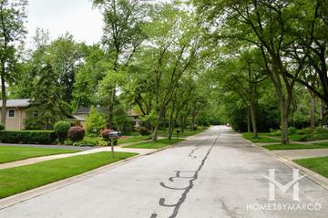 Shady Lane Estates subdivision in Downers Grove, IL