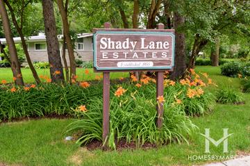 Photos of Shady Lane Estates subdivision in Downers Grove, IL