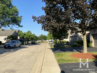 Woodland Meadows North subdivision in Elgin, IL