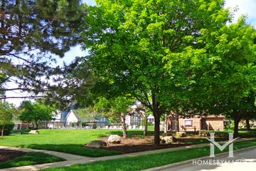Highpoint subdivision in Lisle, IL