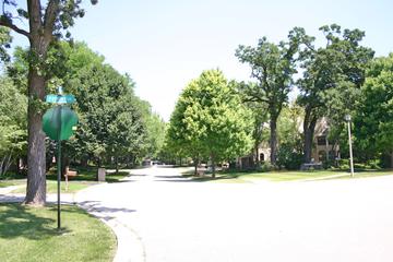 Patriot Woods subdivision in Cary, IL