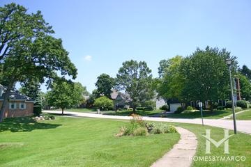 Patriot Woods subdivision in Cary, IL