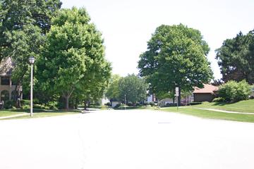 Patriot Woods subdivision in Cary, IL